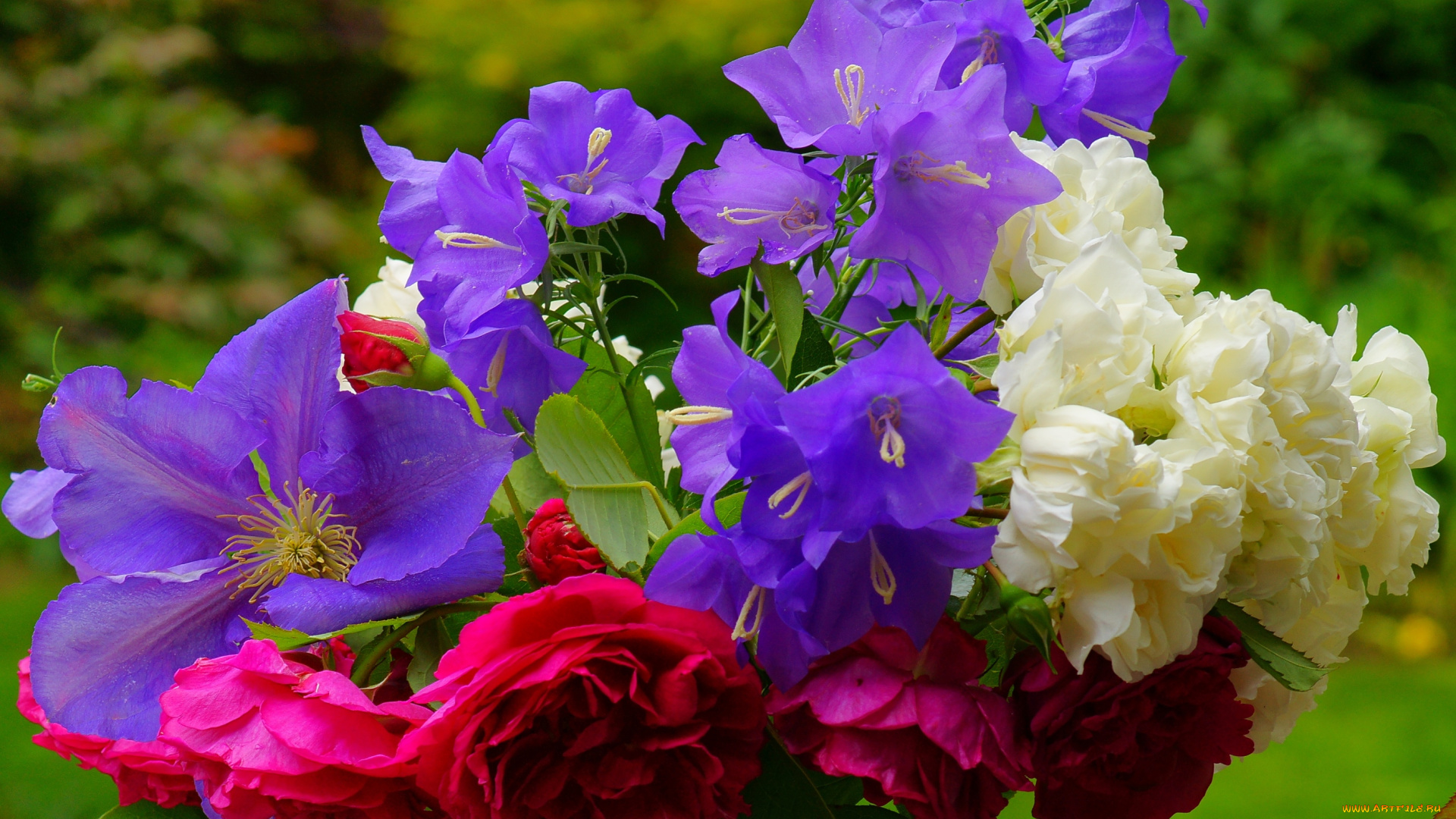 цветы, букеты, композиции, розы, колокольчики, клематис