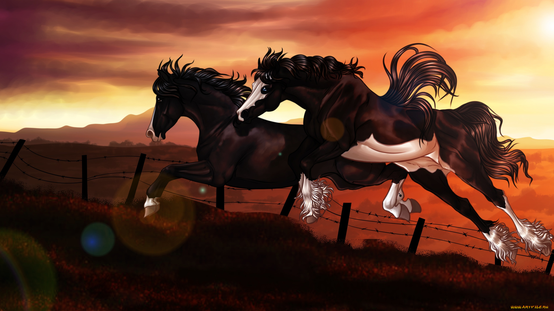 рисованные, животные, лошади, колючая, проволка, прыжок, забор, кони, закат