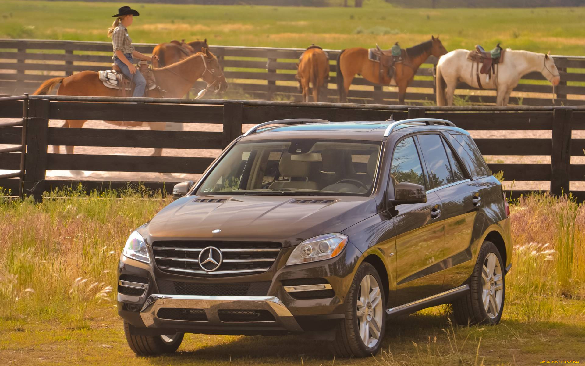 автомобили, mercedes, benz, mercedes-benz