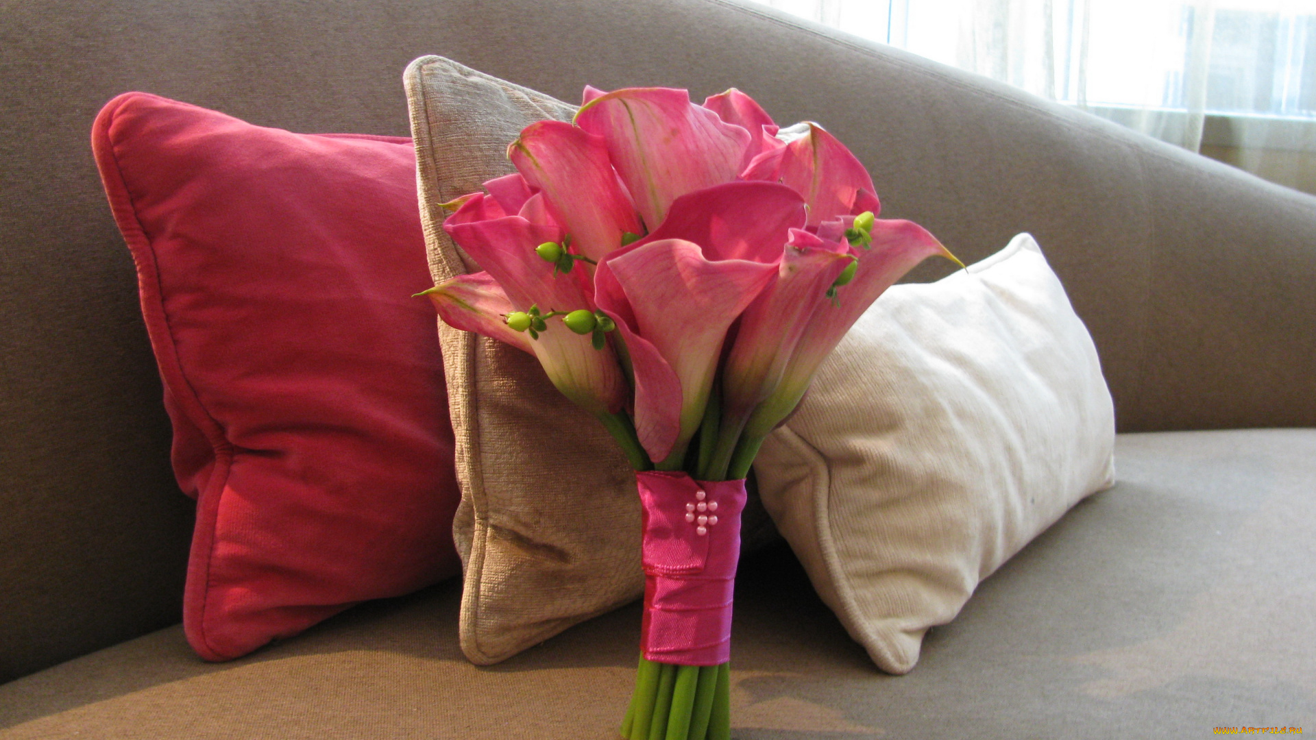 цветы, каллы, калы, ваза, диван