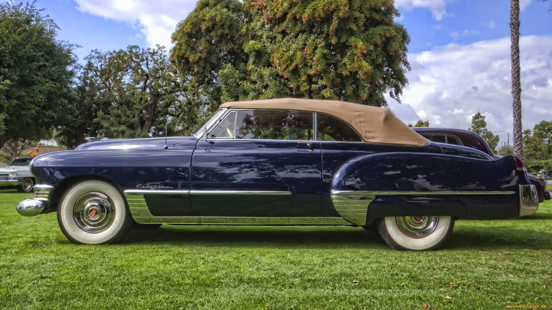 1949, cadillac, series, 62, convertible, автомобили, выставки, и, уличные, фото, автошоу, выставка