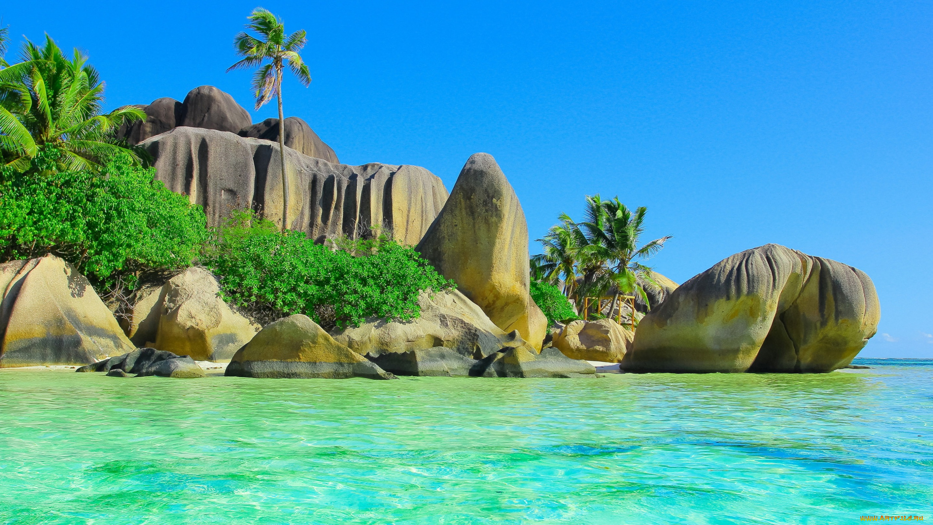 природа, тропики, песок, summer, palm, пляж, ocean, sea, paradise, beach, coast, океан, остров, берег, tropical, солнце, море