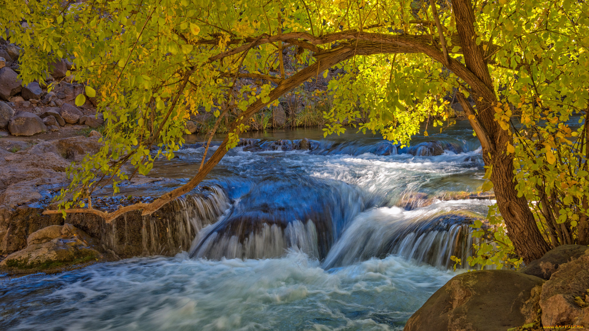 природа, водопады, осень, дерево, пороги, камни, река