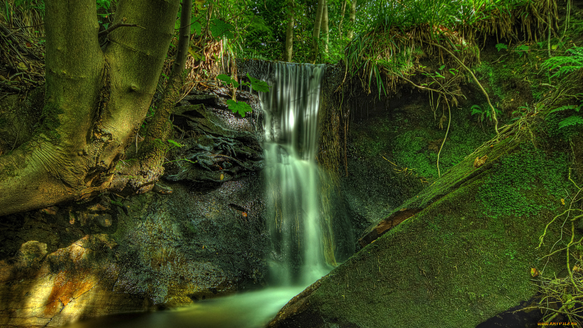 природа, водопады, водопад, лес, река