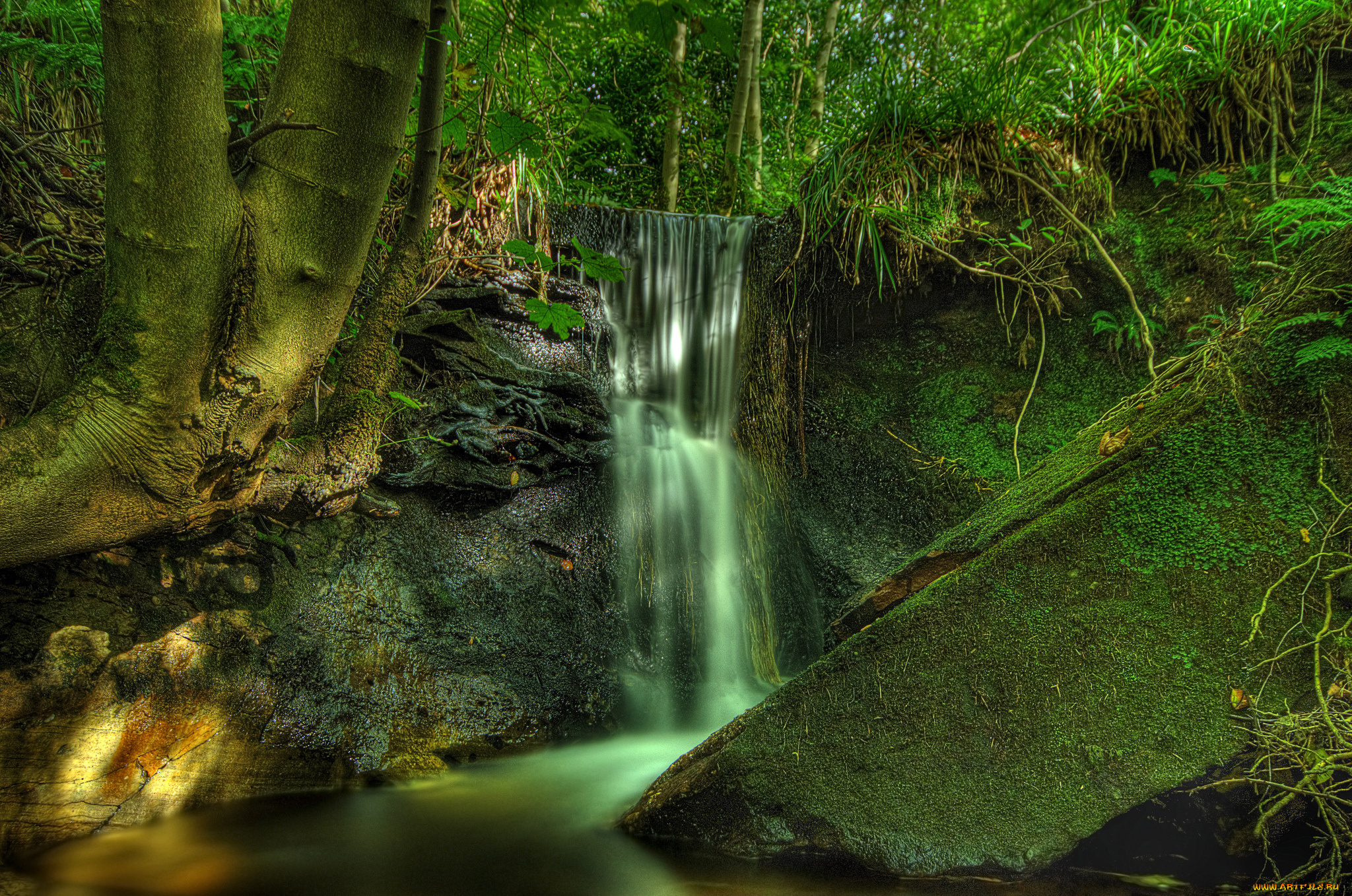 природа, водопады, водопад, лес, река
