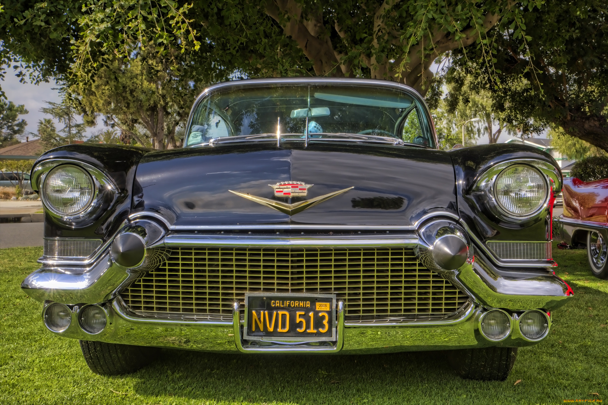 1957, cadillac, fleetwood, автомобили, выставки, и, уличные, фото, выставка, автошоу