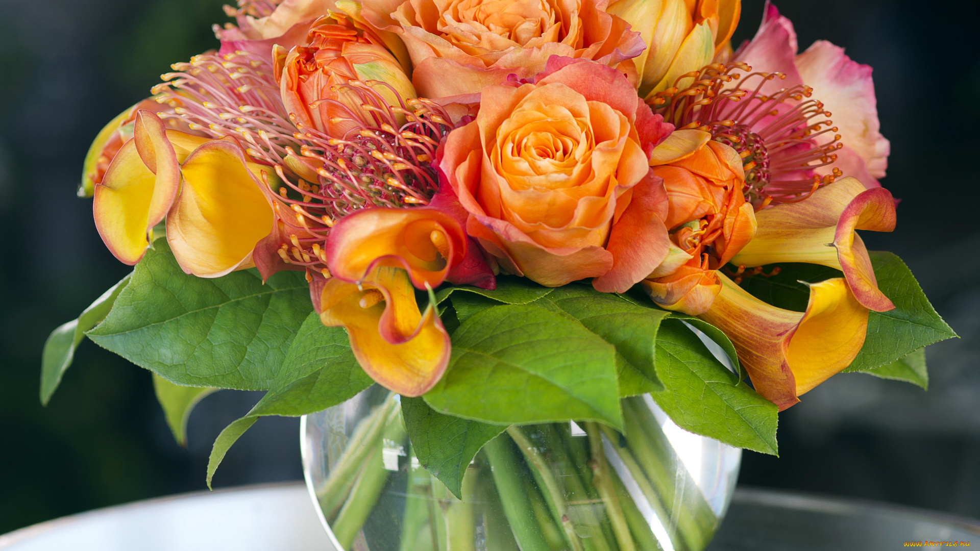 цветы, букеты, , композиции, букет, ваза, розы, callas, roses, bouquets