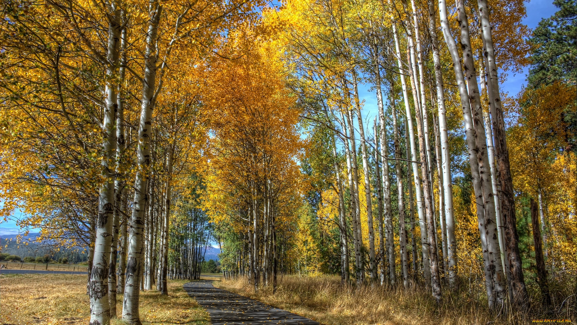 природа, дороги, осень
