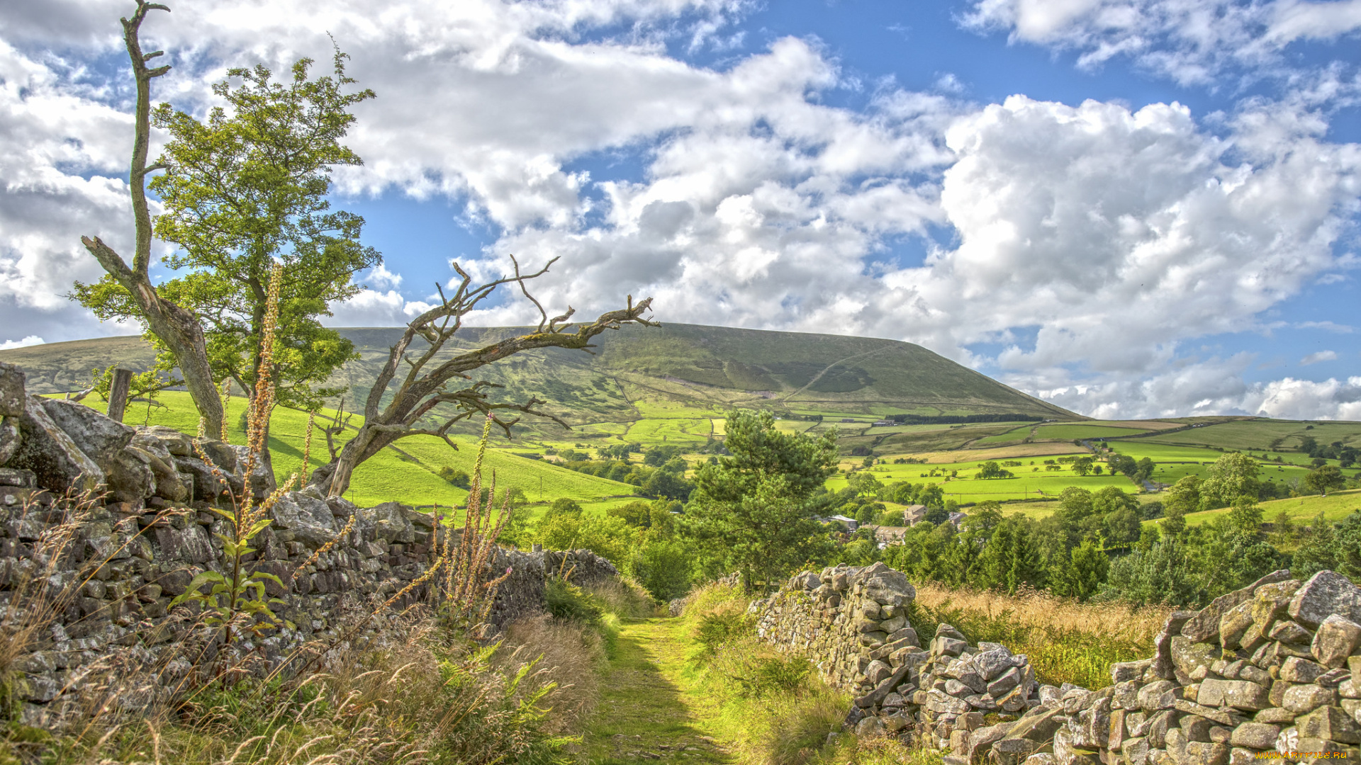 природа, дороги, тропинка, изгородь, равнина