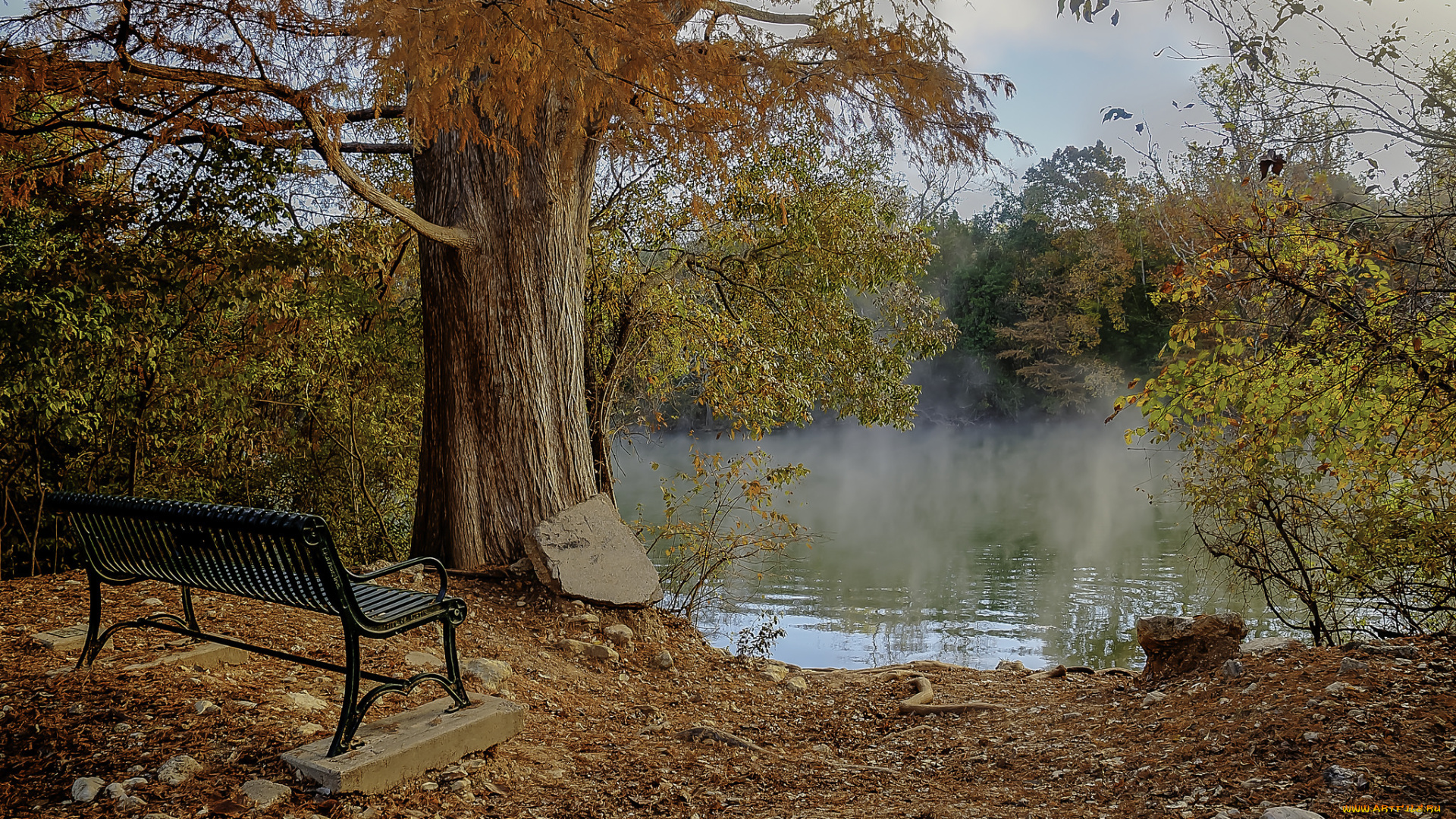 природа, реки, озера, осень