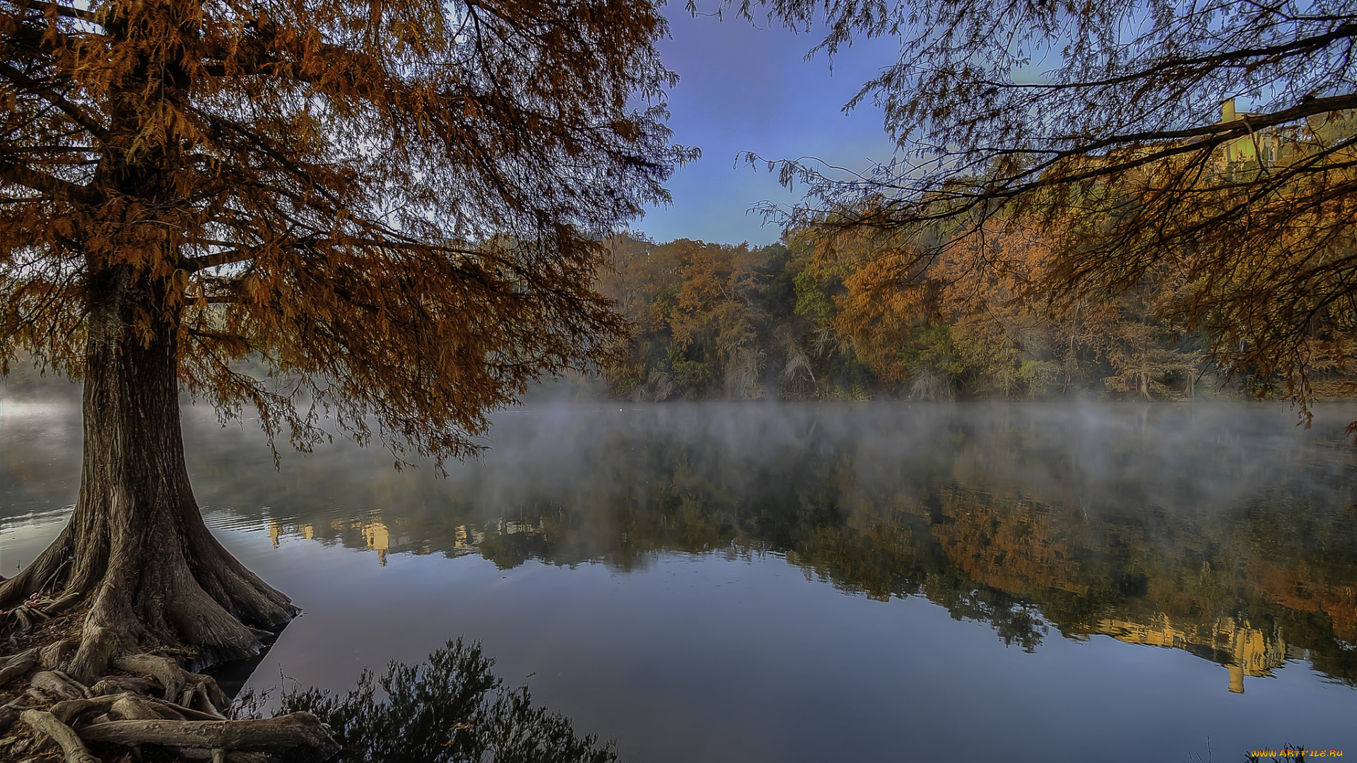 природа, реки, озера, осень