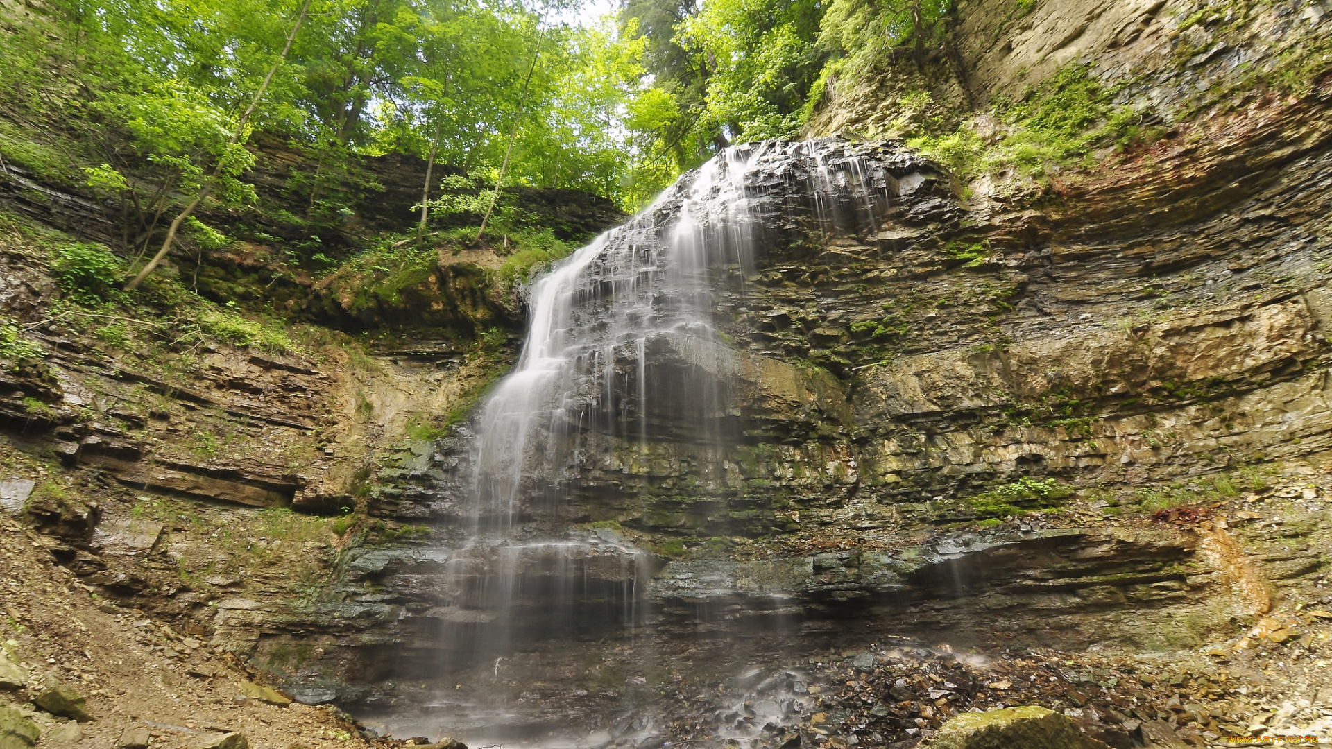 природа, водопады, лес, водопад, река
