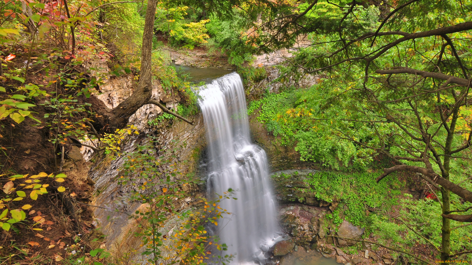 природа, водопады, лес, водопад, река