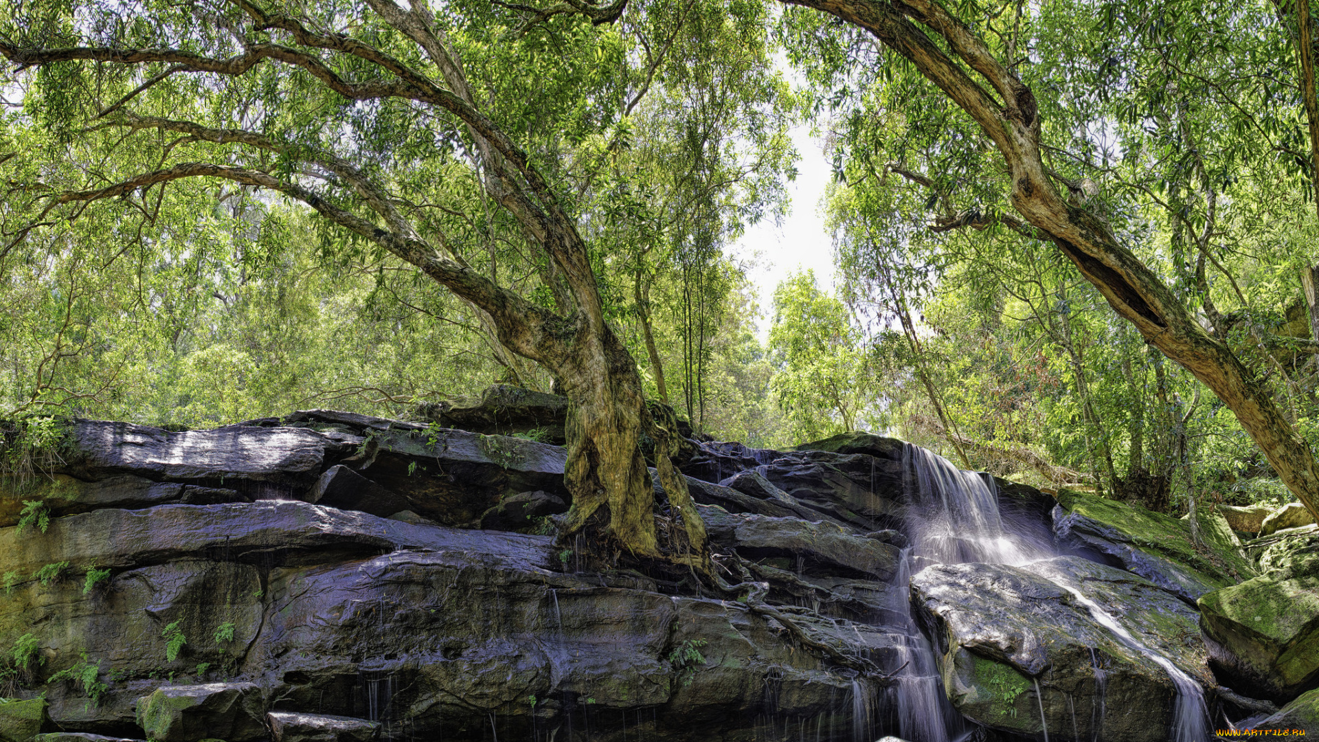 природа, водопады, водопад, река, лес