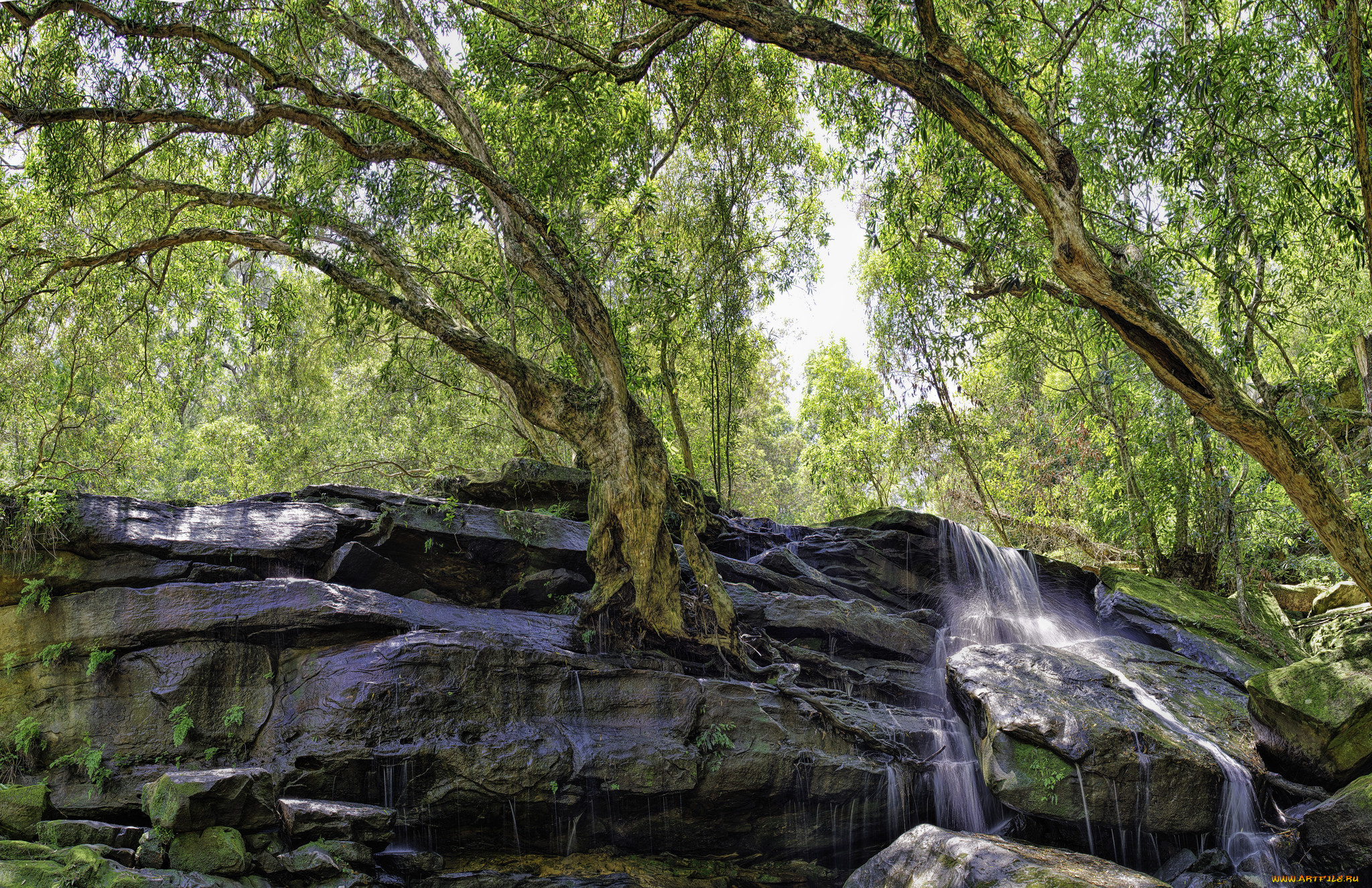 природа, водопады, водопад, река, лес