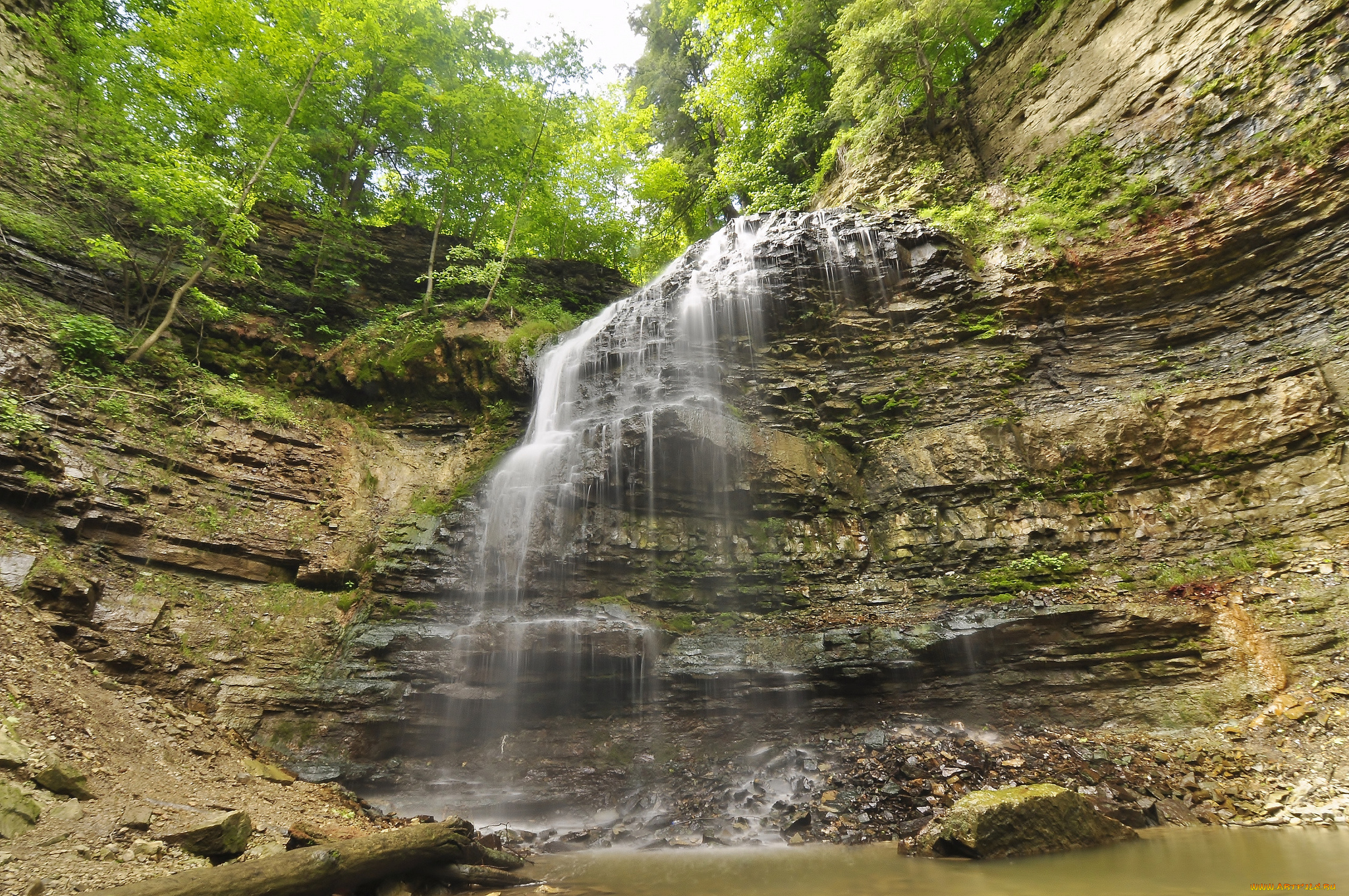 природа, водопады, лес, водопад, река