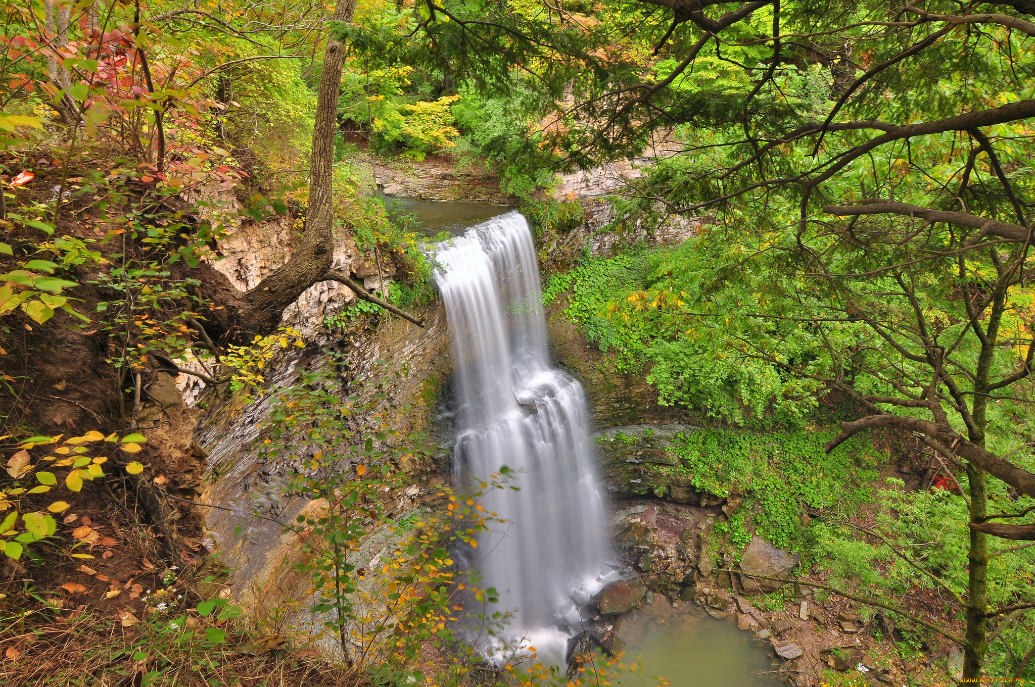 природа, водопады, лес, водопад, река