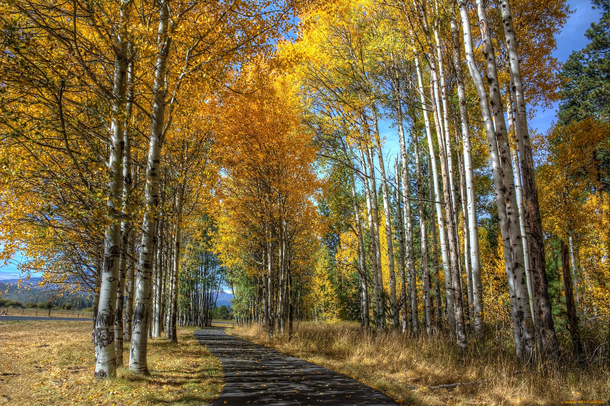 природа, дороги, осень