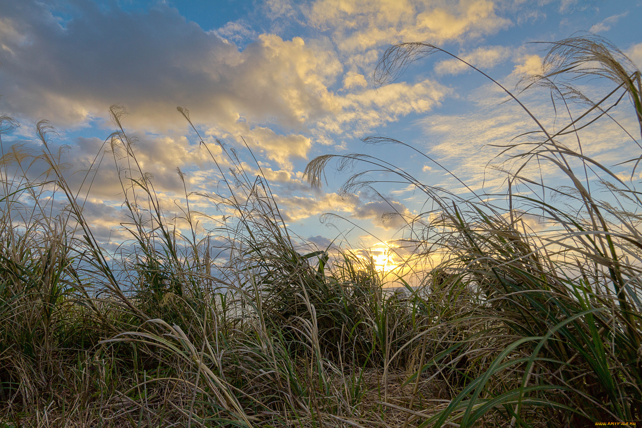 природа, восходы, закаты, рассвет