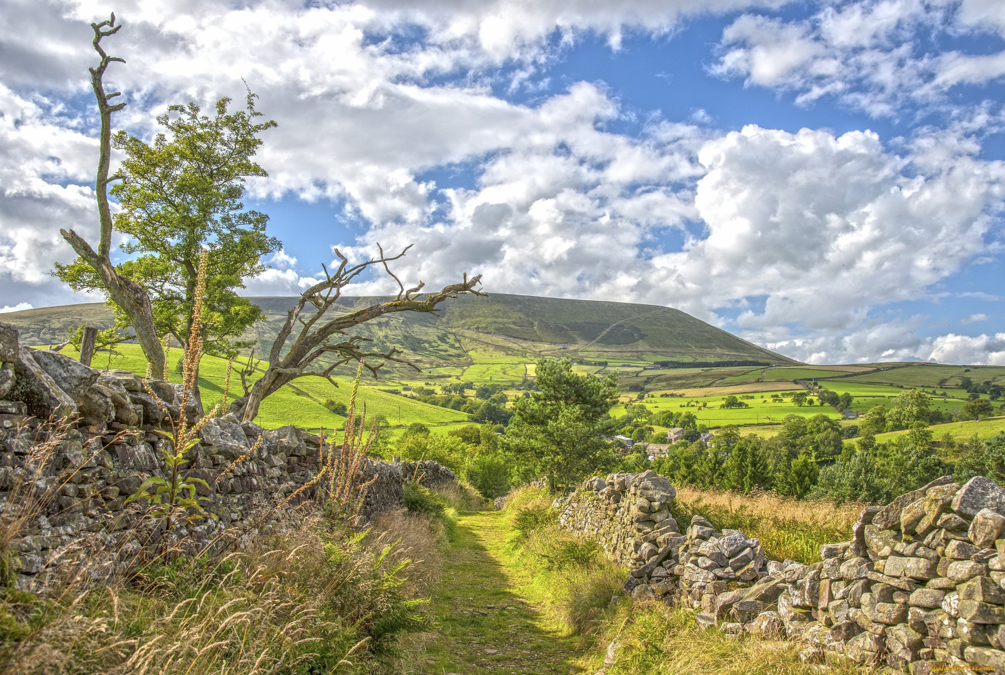 природа, дороги, тропинка, изгородь, равнина