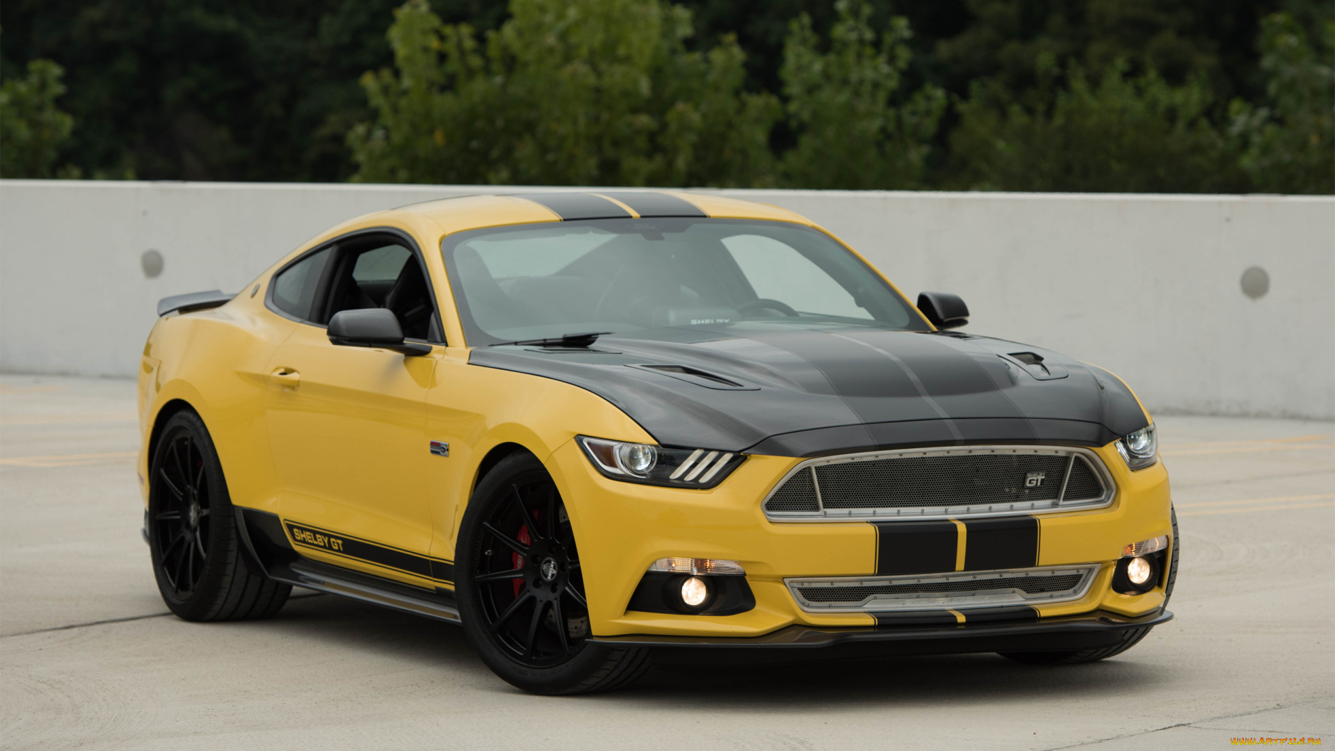 автомобили, mustang