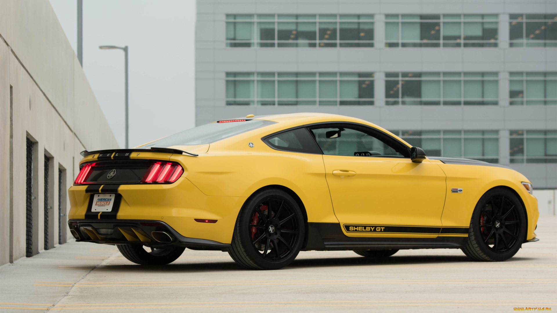 автомобили, mustang