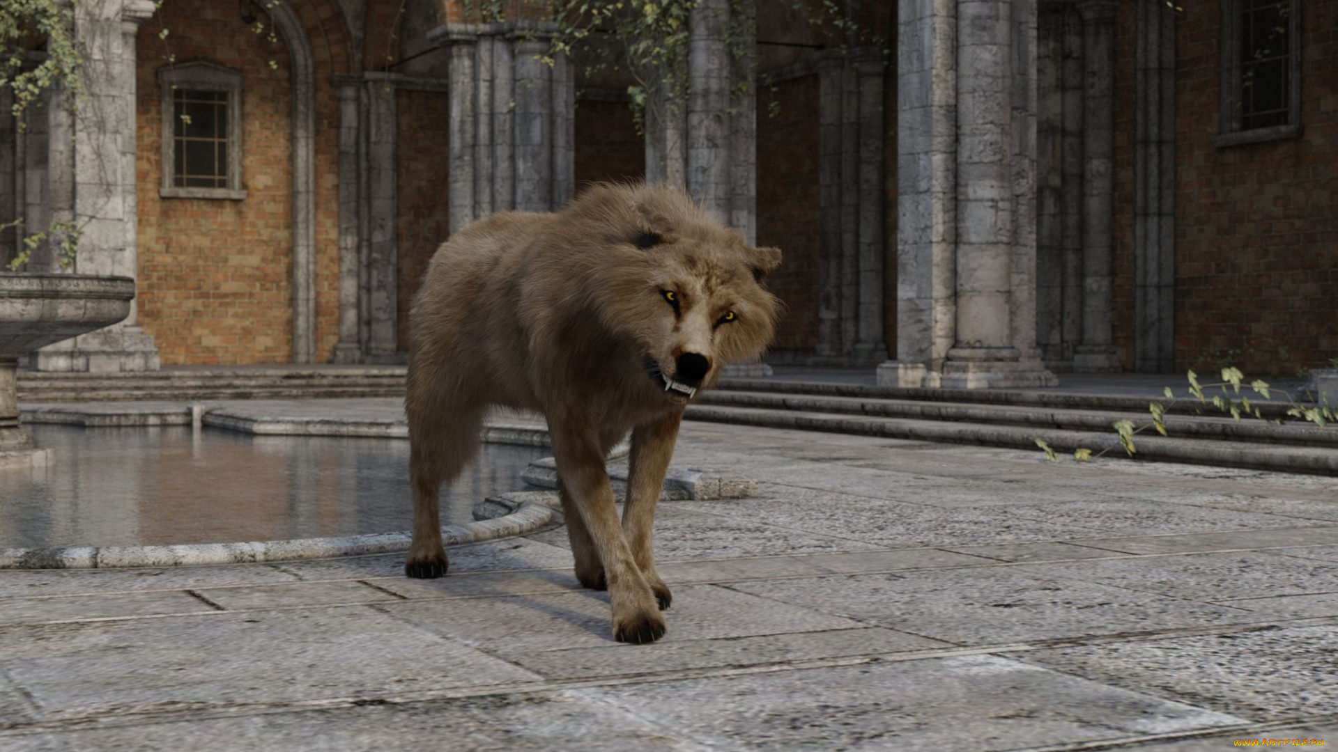 3д, графика, животные, , animals, фон, волк