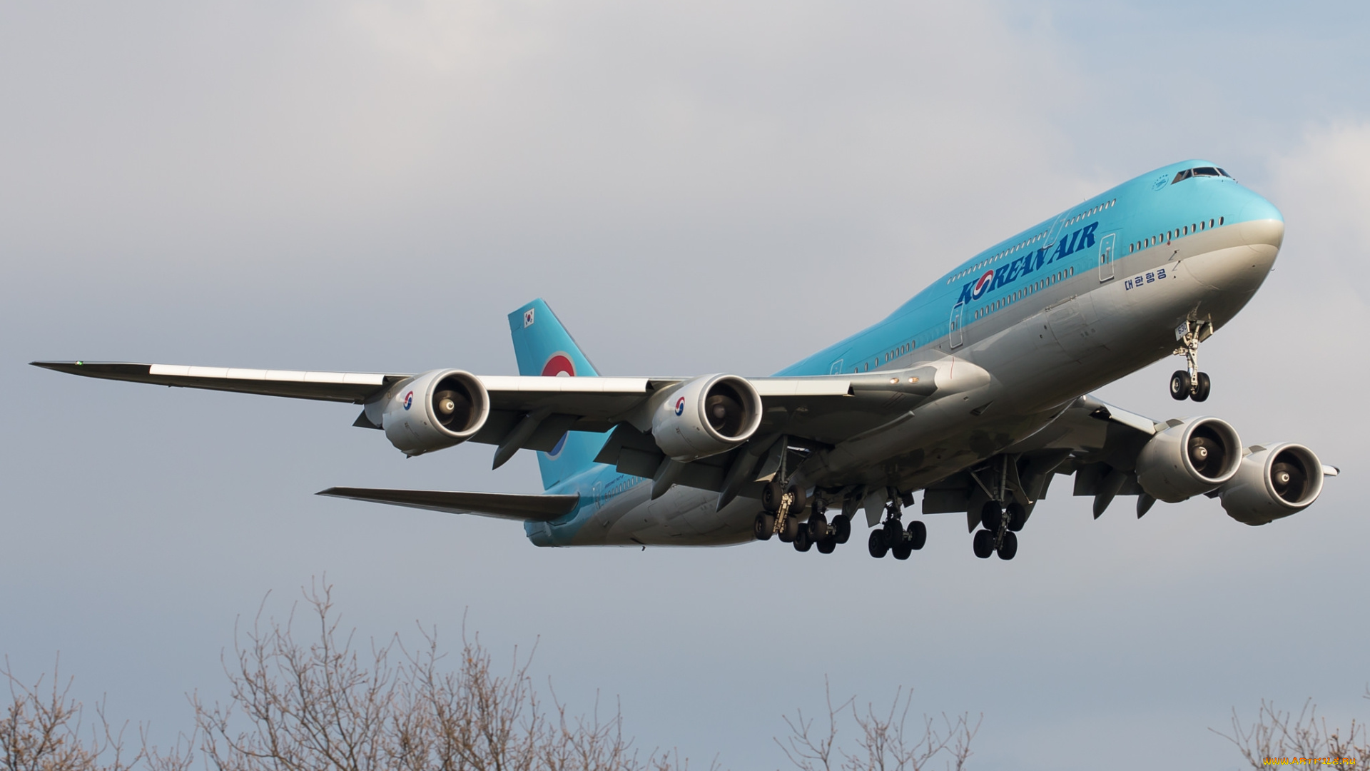 авиация, пассажирские, самолёты, авиалайнер