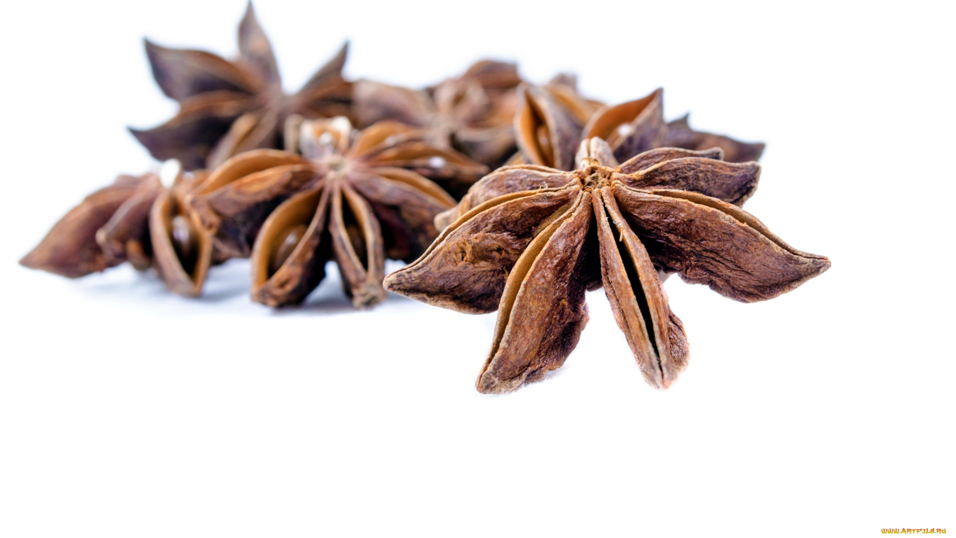 еда, крупы, , зерно, , специи, , семечки, анис