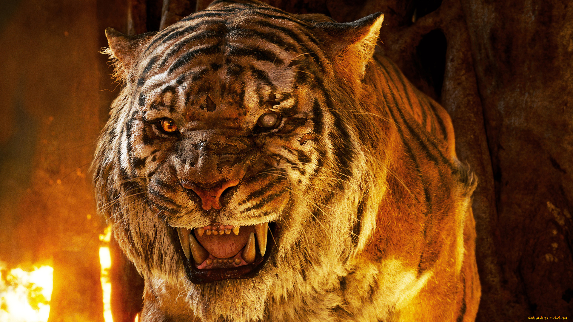 кино, фильмы, the, jungle, book, the, jungle, book, tiger