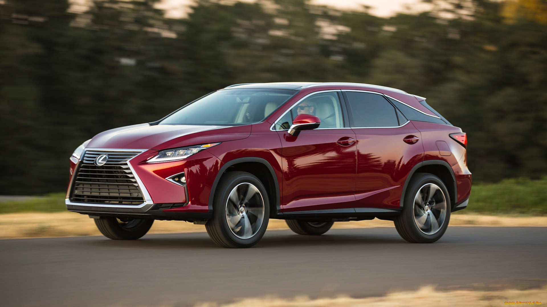 lexus, rx-350, 2018, автомобили, lexus, вишнёвый, 2018, rx-350