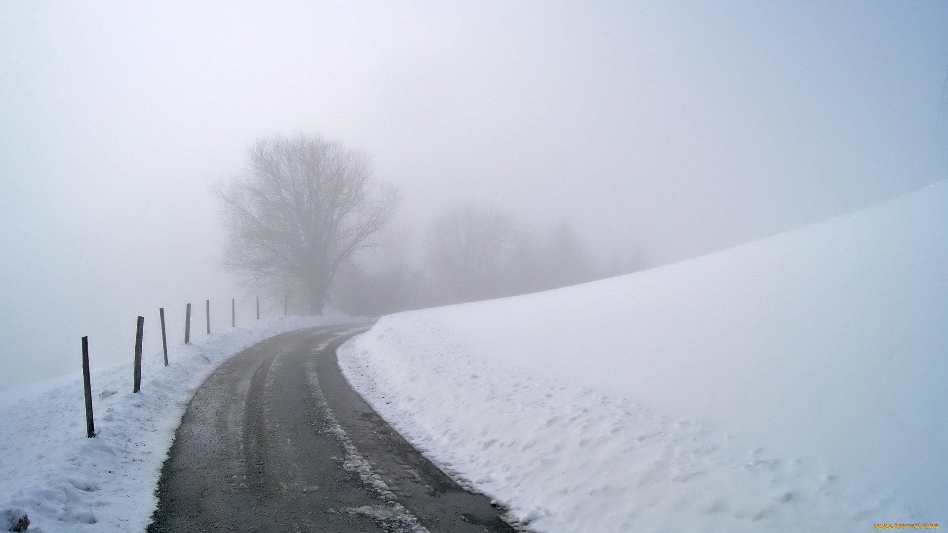 природа, дороги, туман, дорога, забор, снег