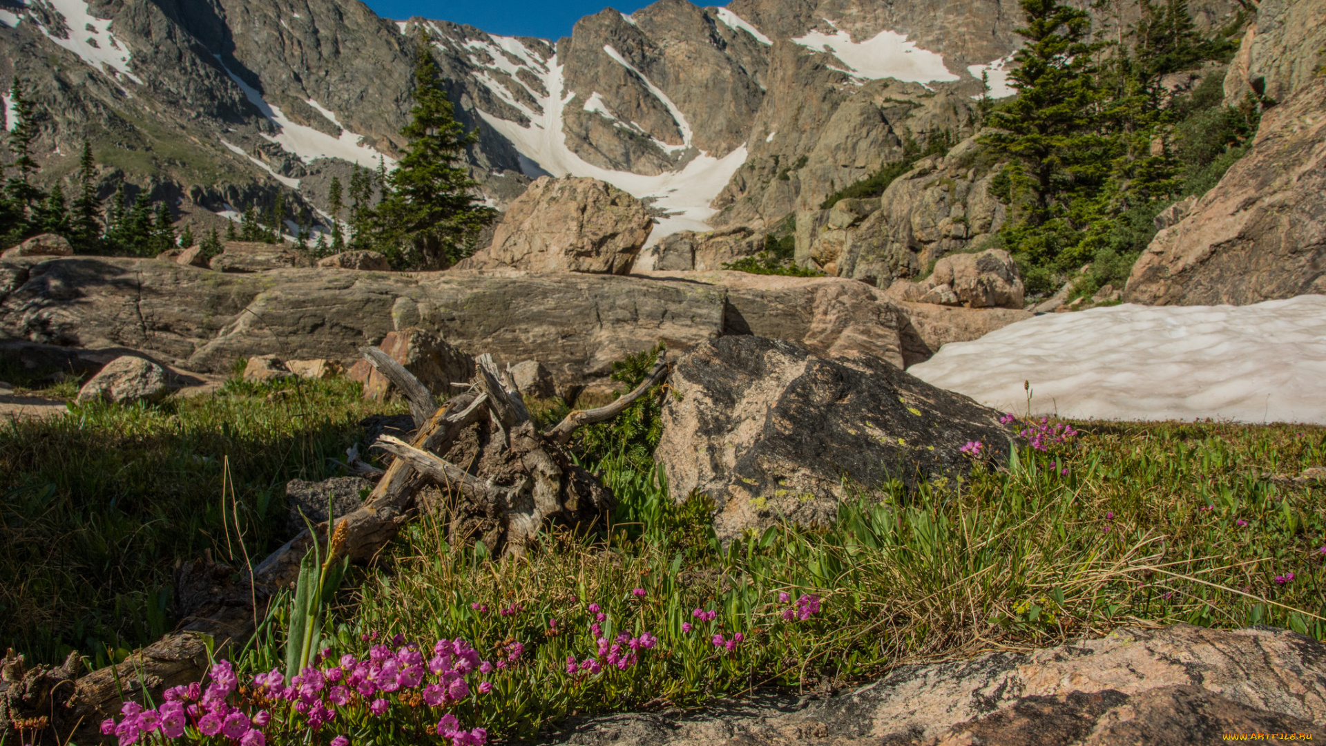 природа, горы, простор