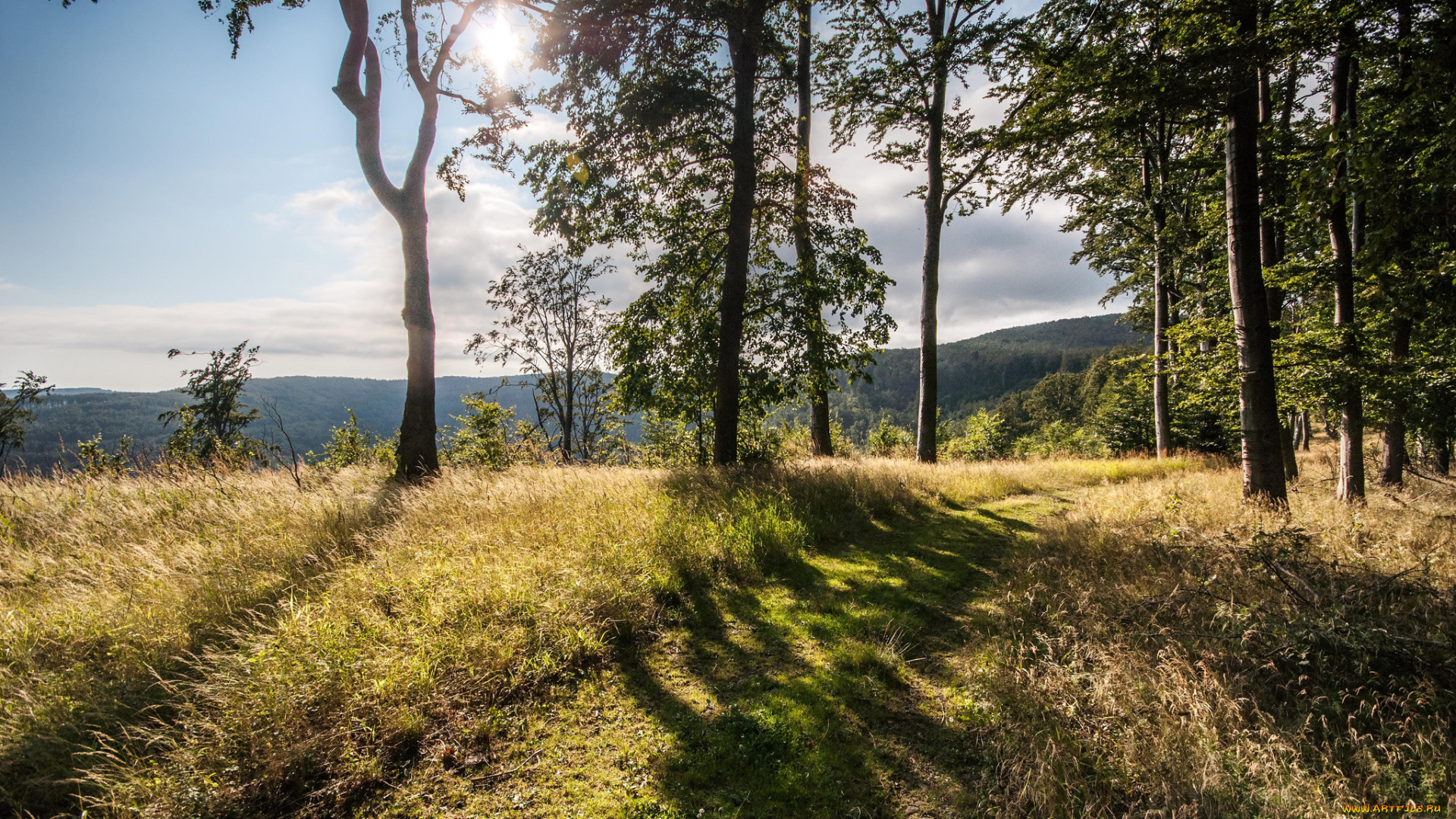 природа, пейзажи, простор