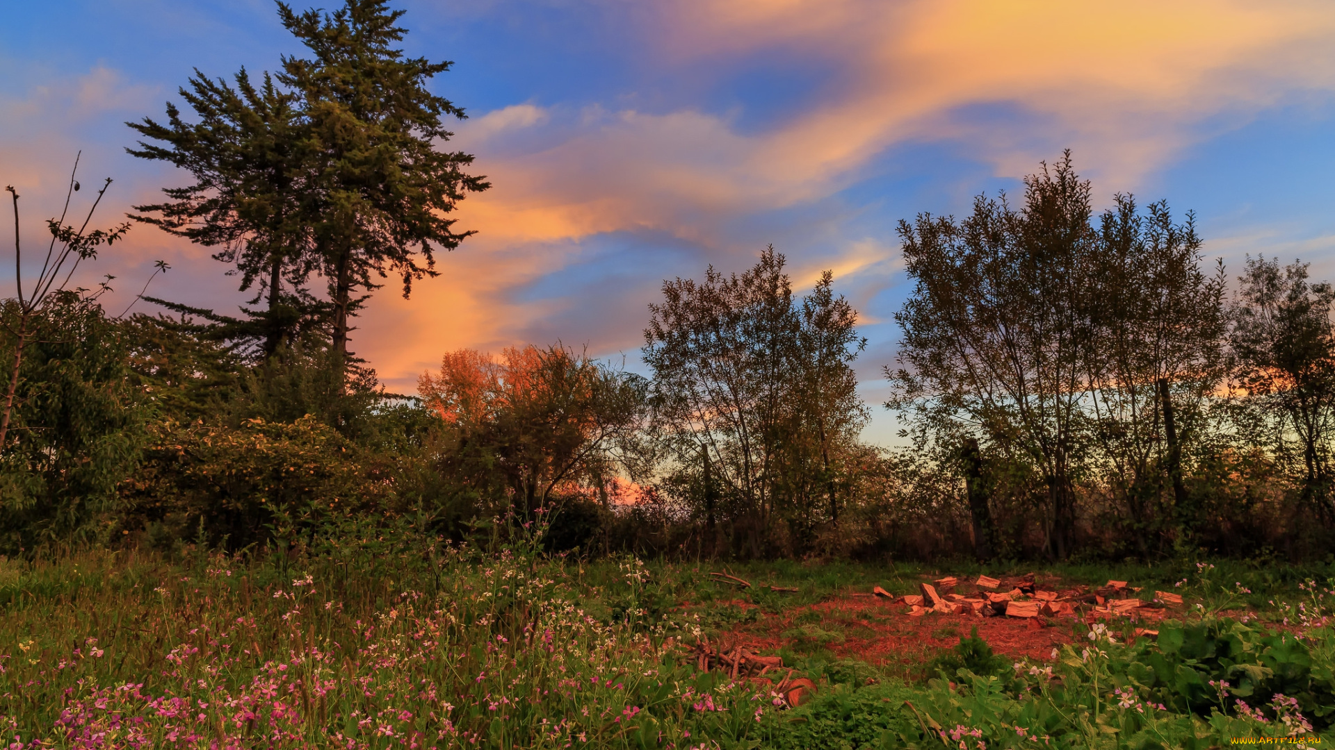 природа, пейзажи, простор