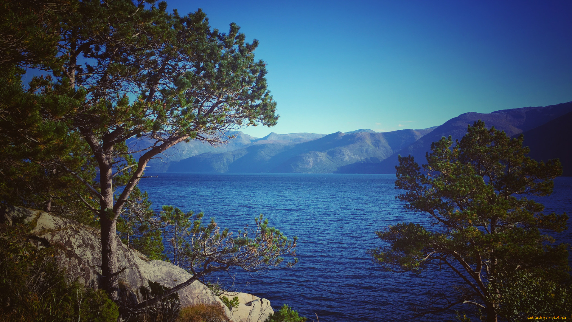 природа, побережье, простор