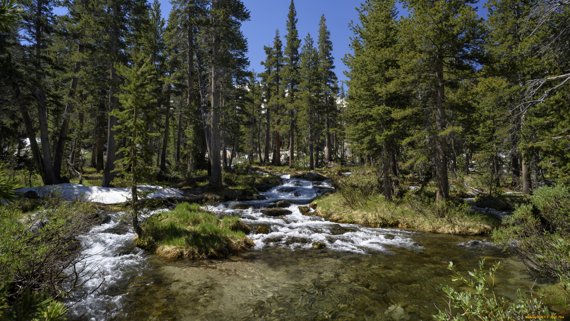 природа, реки, озера, простор