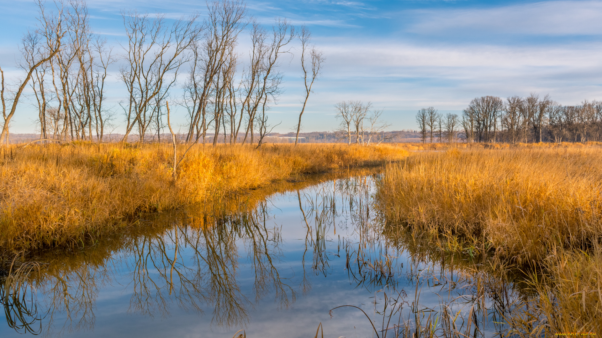 природа, реки, озера, простор