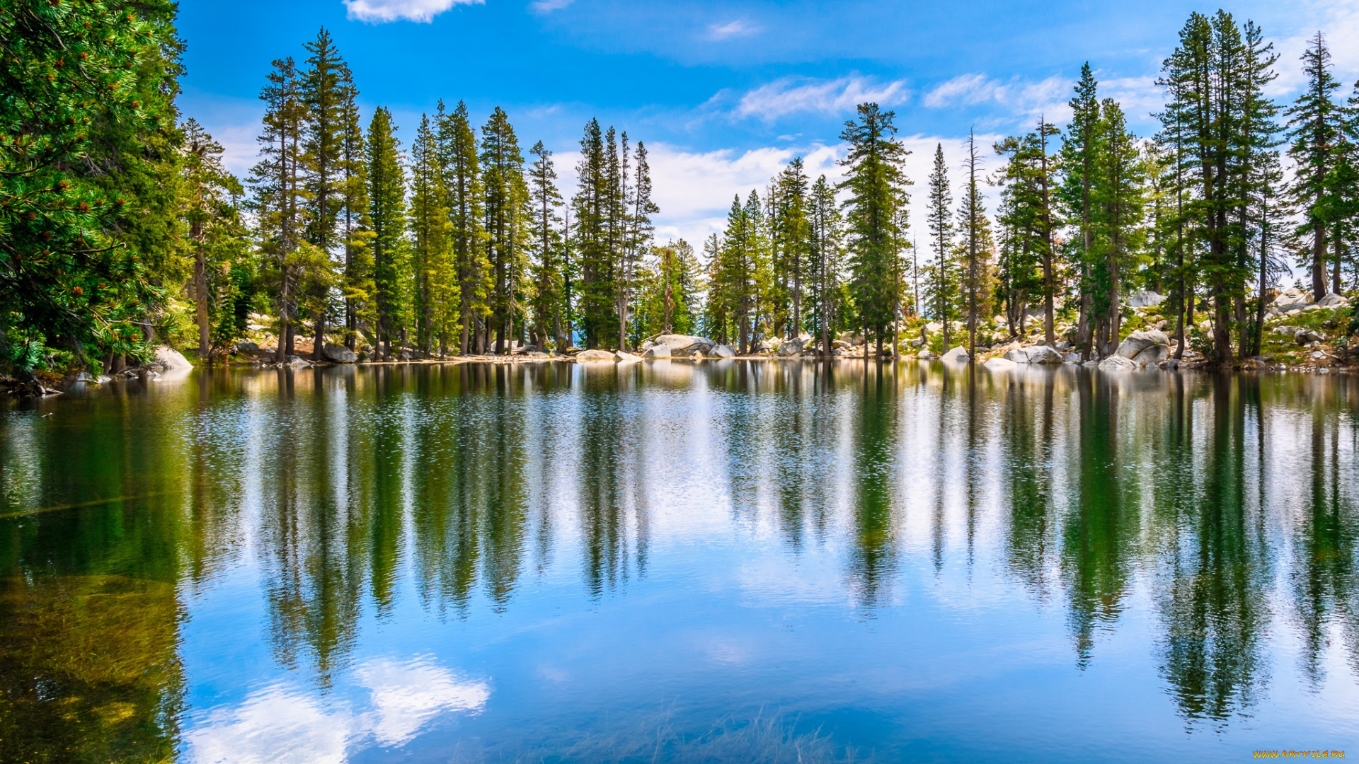 природа, реки, озера, простор