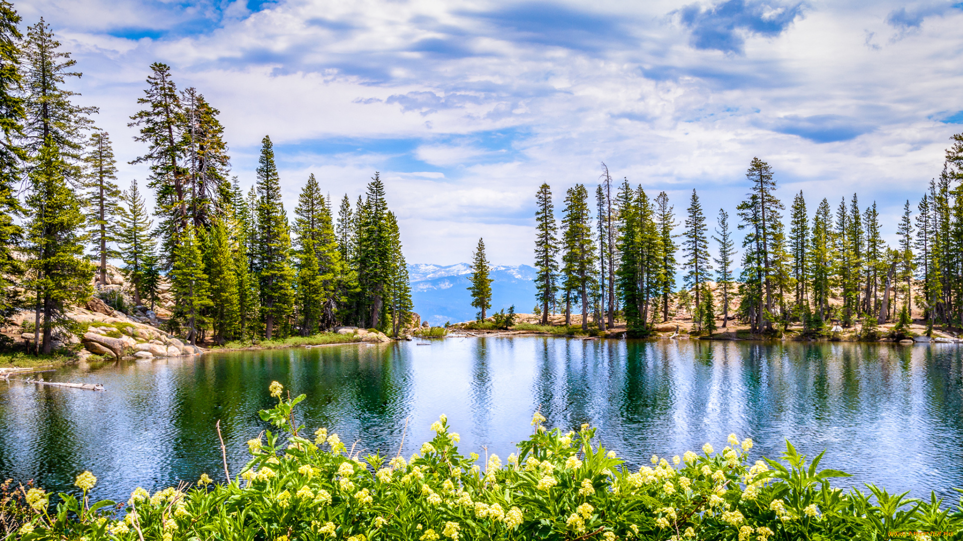 природа, реки, озера, простор