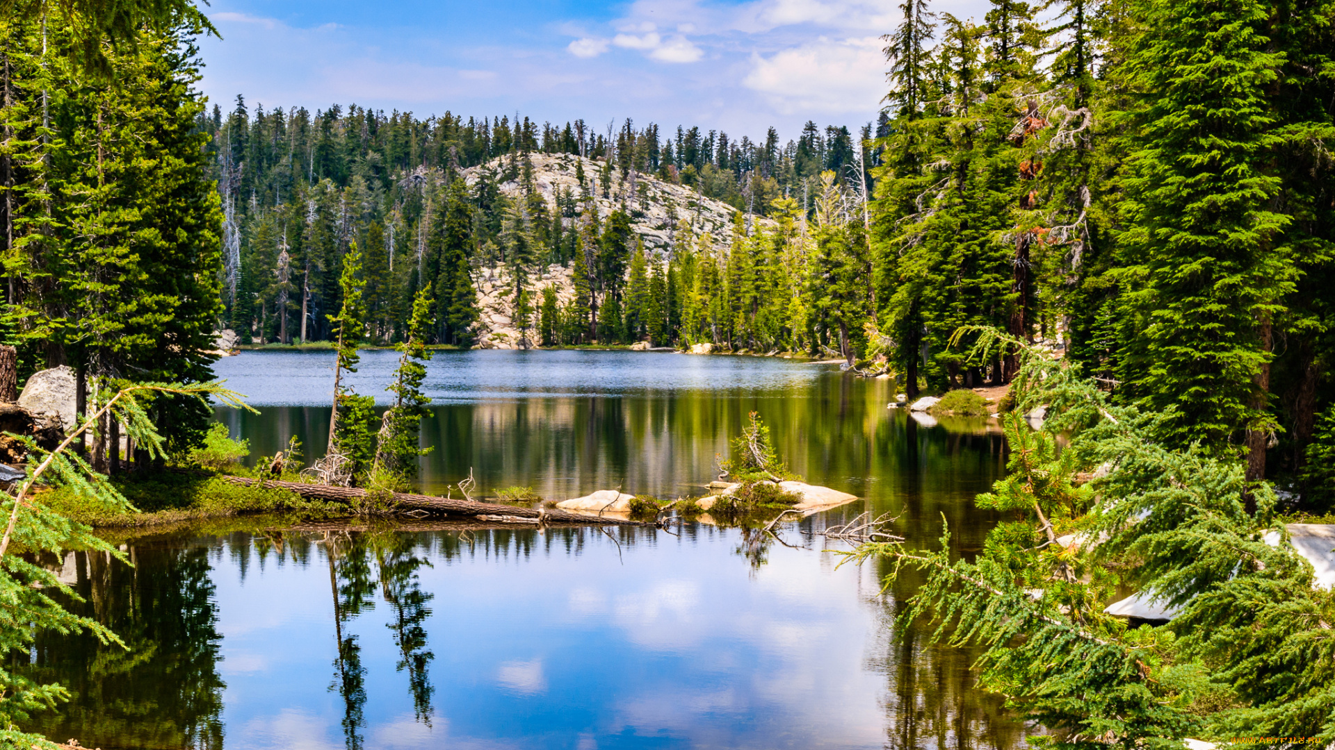 природа, реки, озера, простор