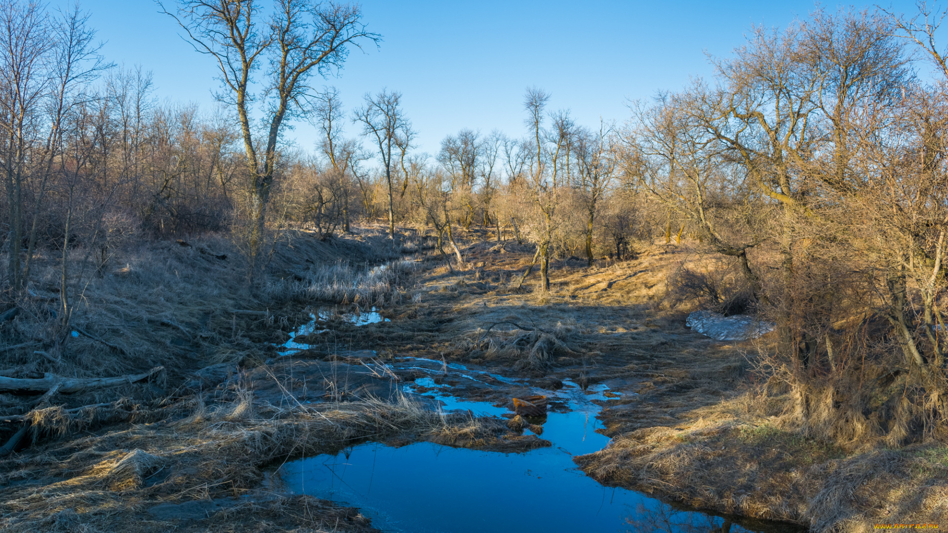 природа, реки, озера, простор