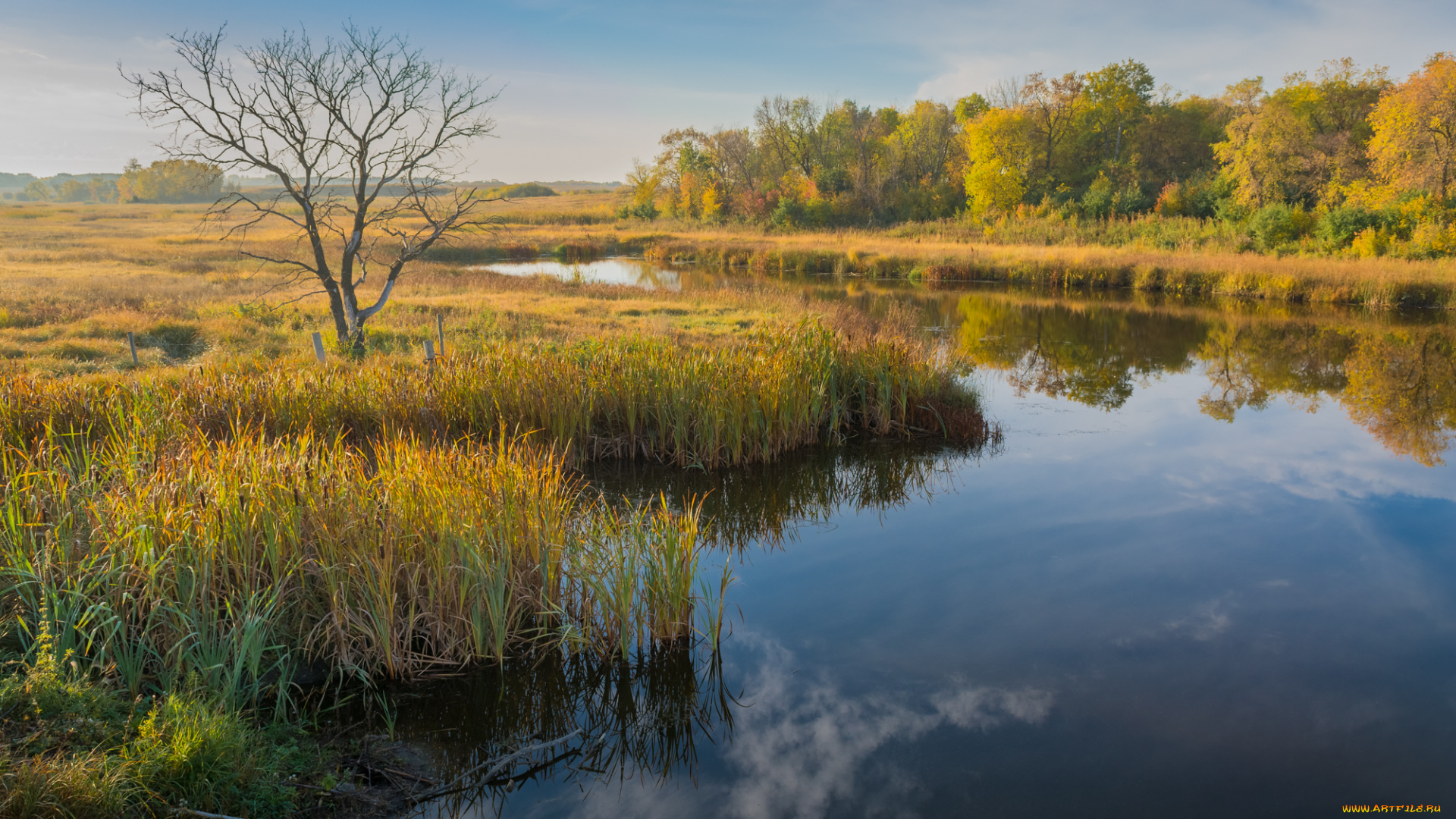 природа, реки, озера, простор