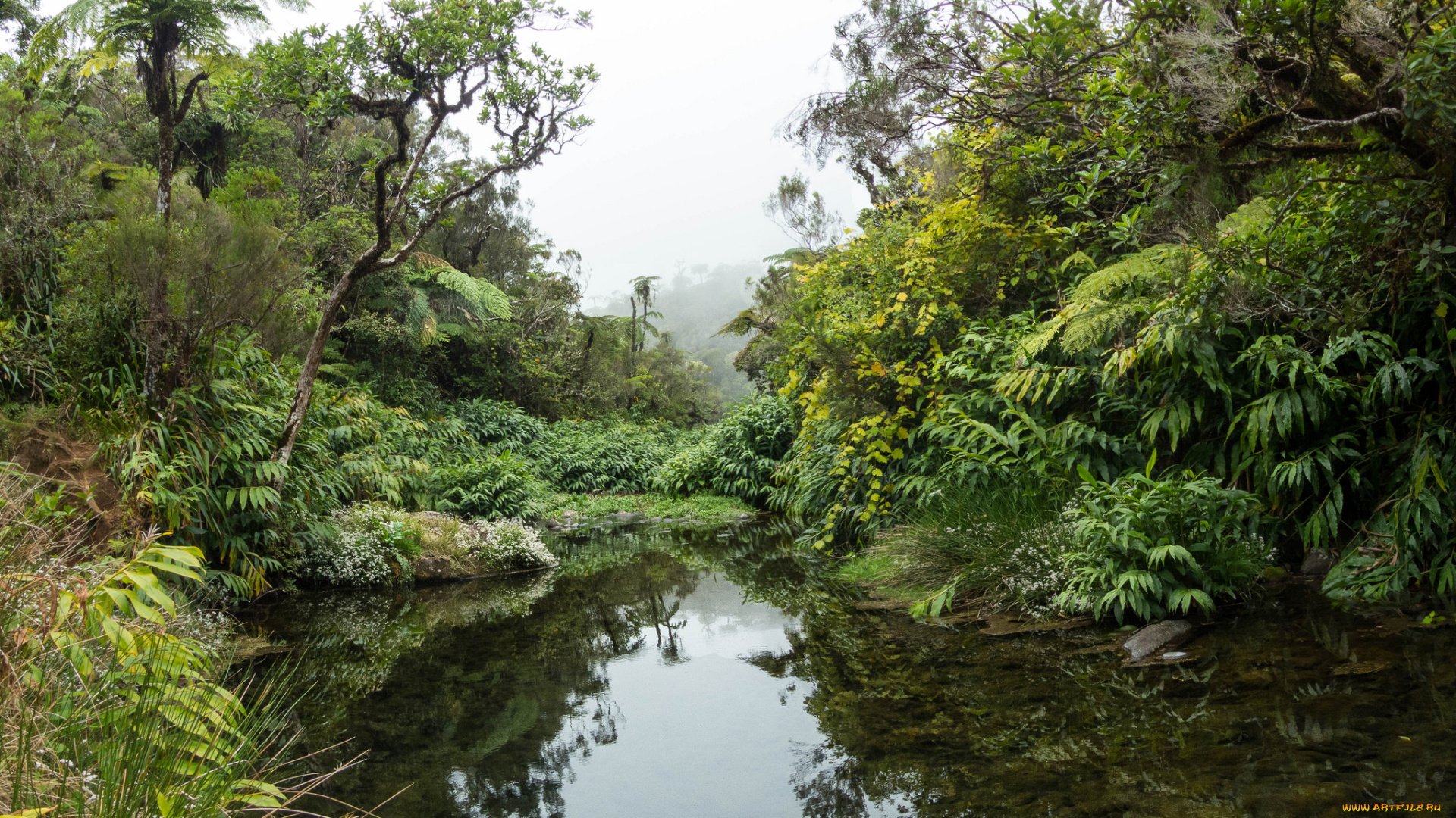 природа, реки, озера, простор