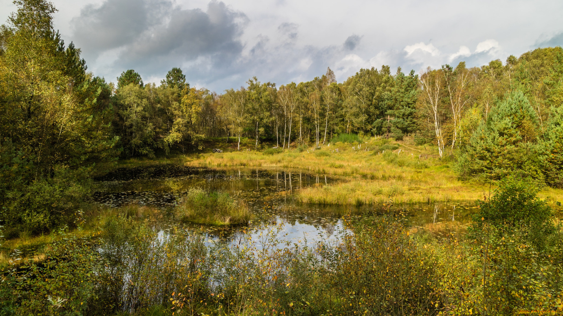 природа, реки, озера, простор