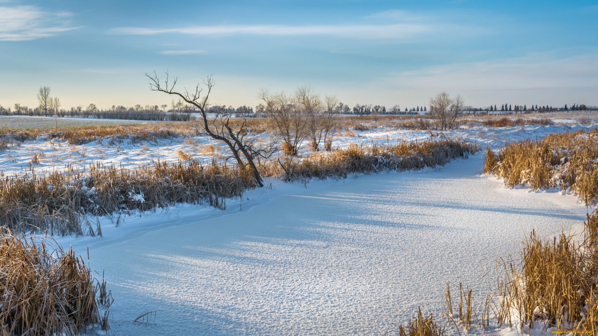 природа, зима, простор