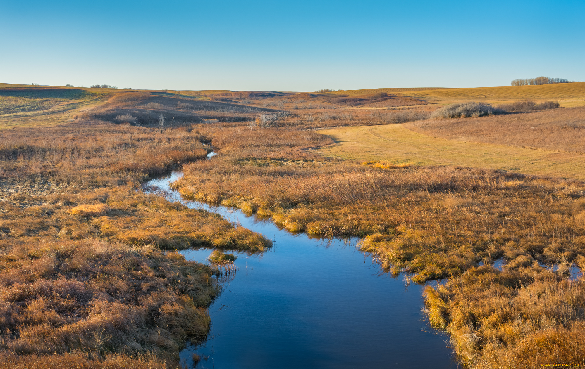 природа, реки, озера, простор