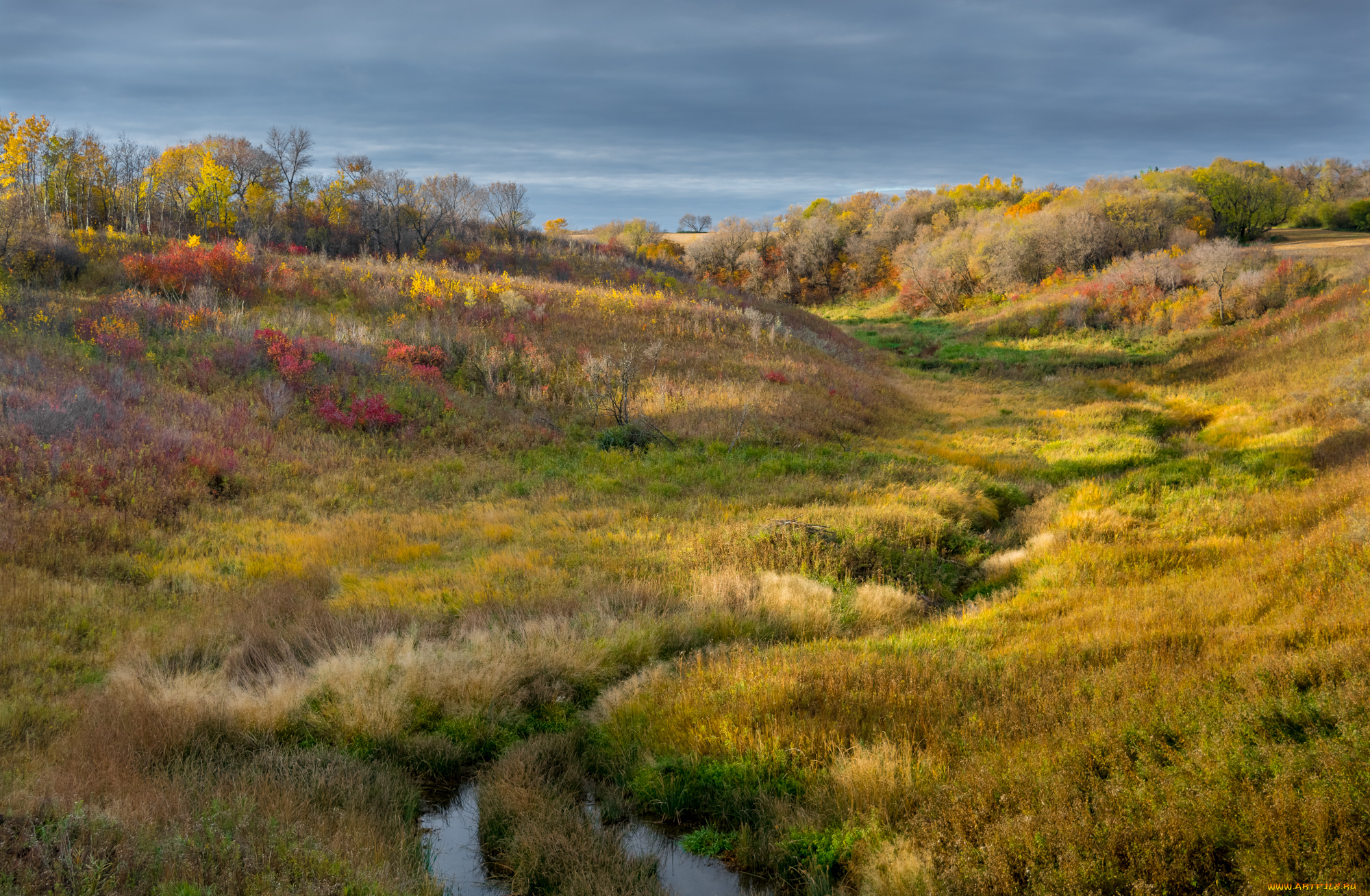 природа, пейзажи, простор