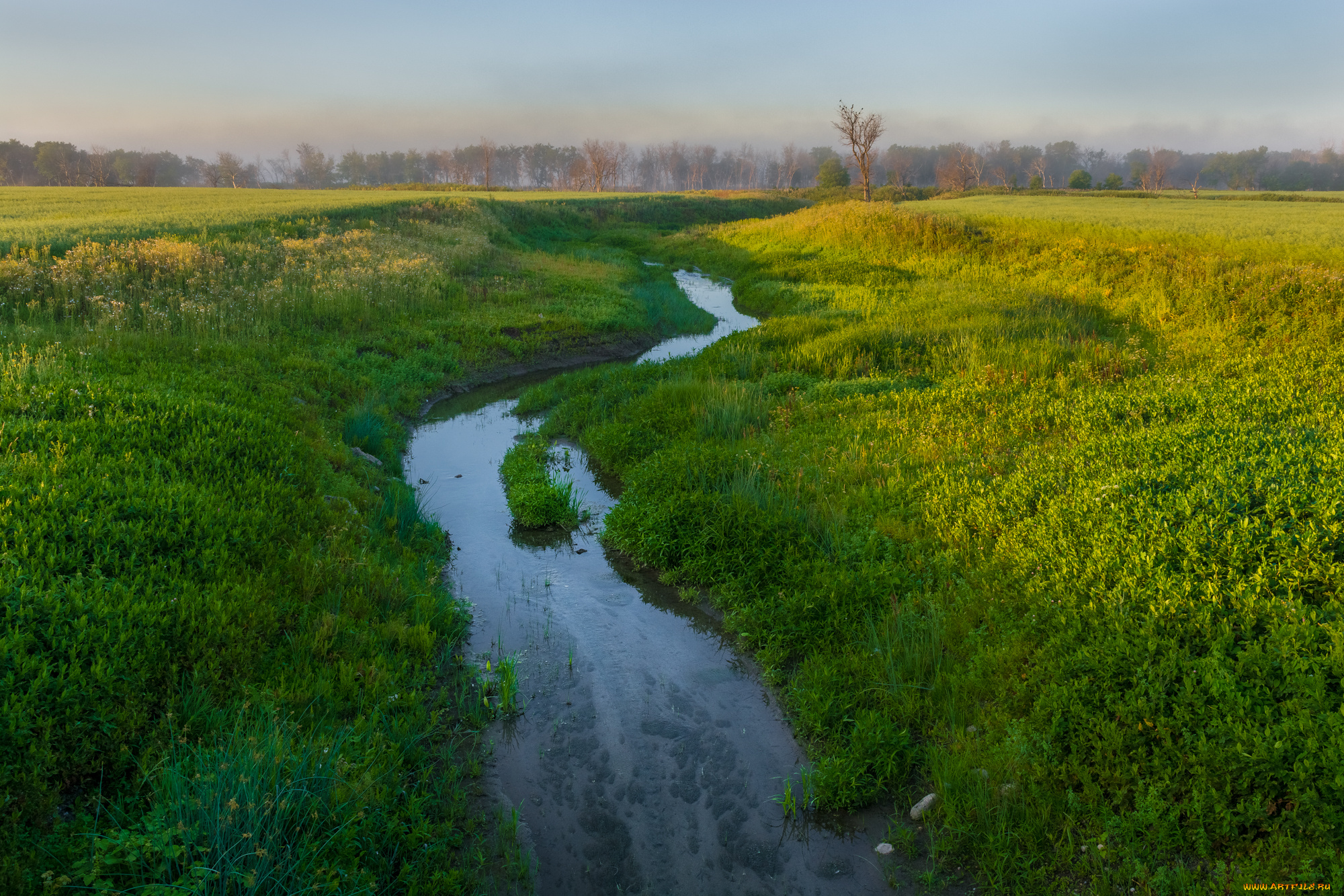 природа, реки, озера, простор