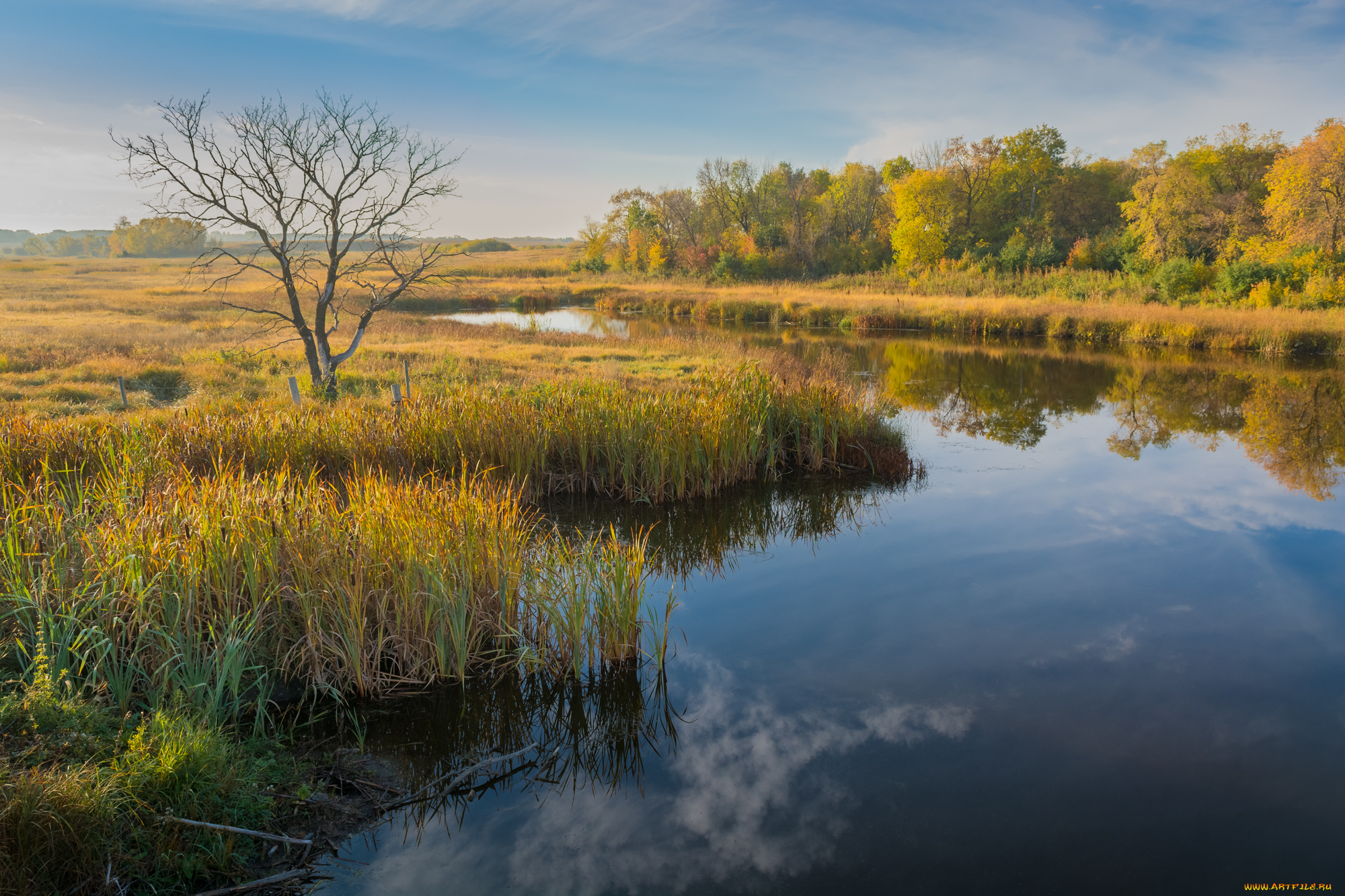 природа, реки, озера, простор